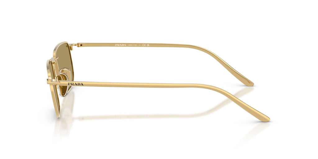 Praada D52S Sunglasses