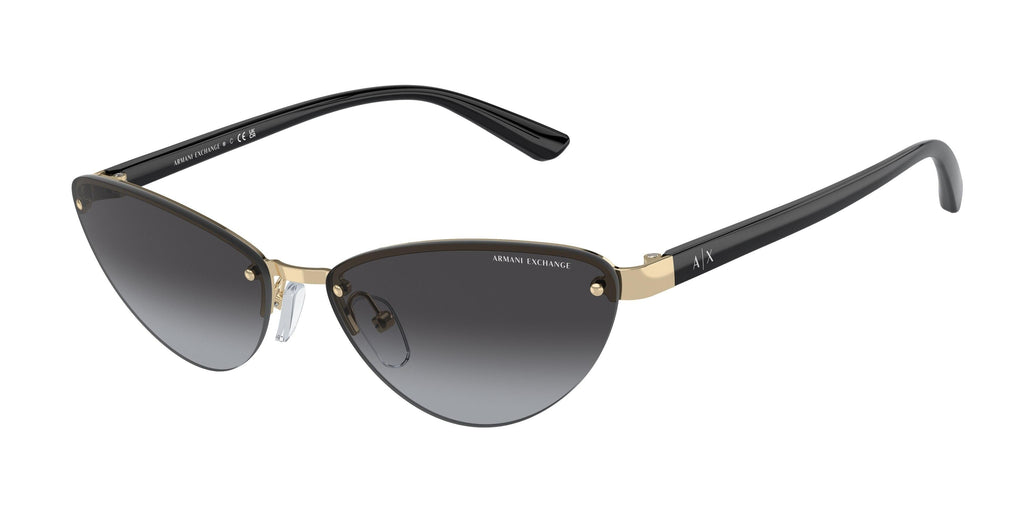 Armaani Exchange 2049S Sunglasses