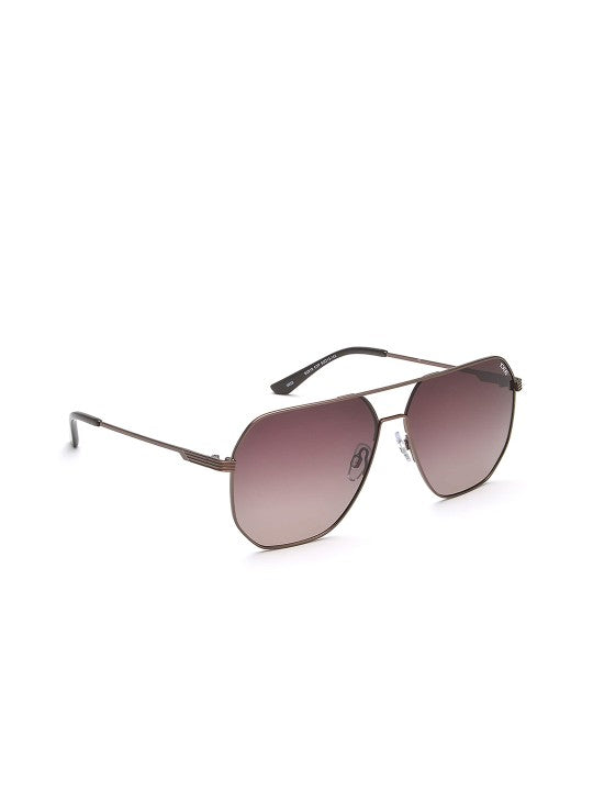Brown Lens & Brown Square Sunglasses For Men