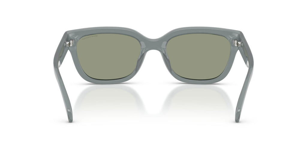 Armaani Exchange 4155SU Sunglasses