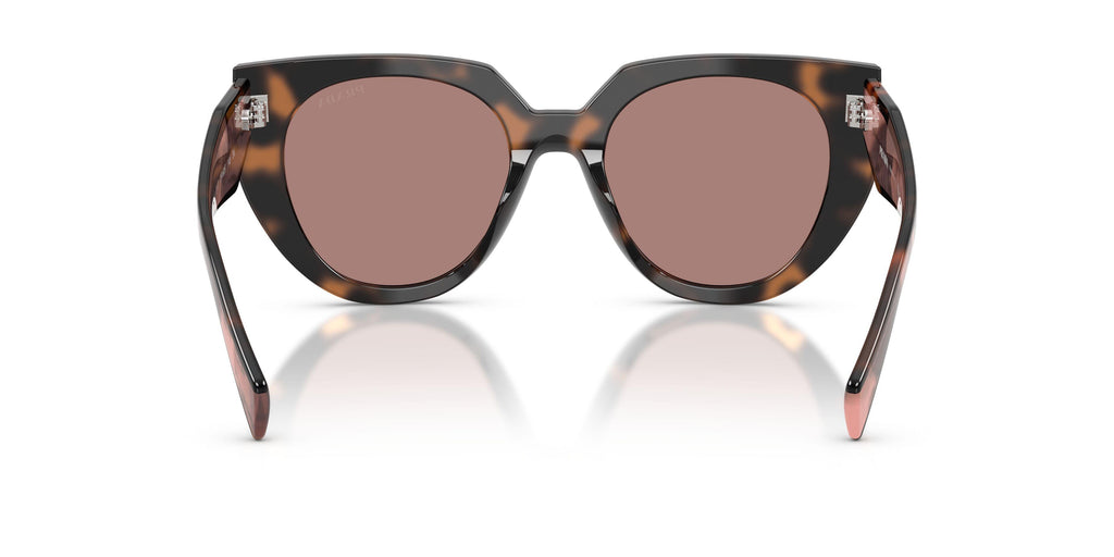 Praada 14WS Sunglasses