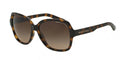 Armaani Exchange Fit 4029S Sunglasses