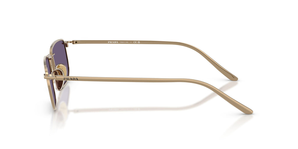 Praada D52S Sunglasses