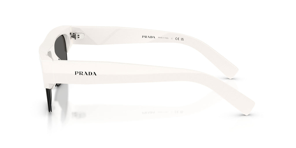 Praada D12SU Sunglasses