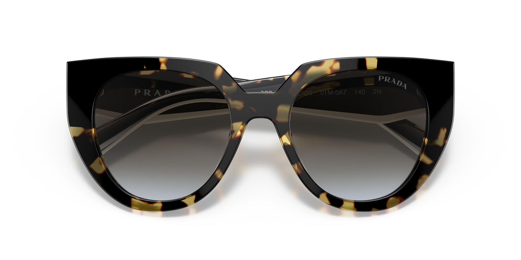 Praada 14WS Sunglasses