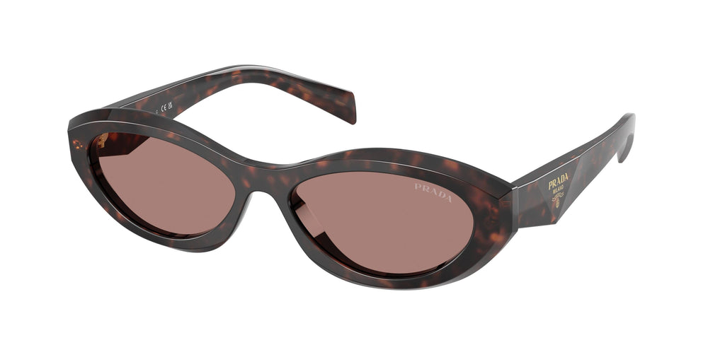 Praada 26ZSF Sunglasses