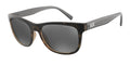 ArrmaniExchange 4103S Sunglasses