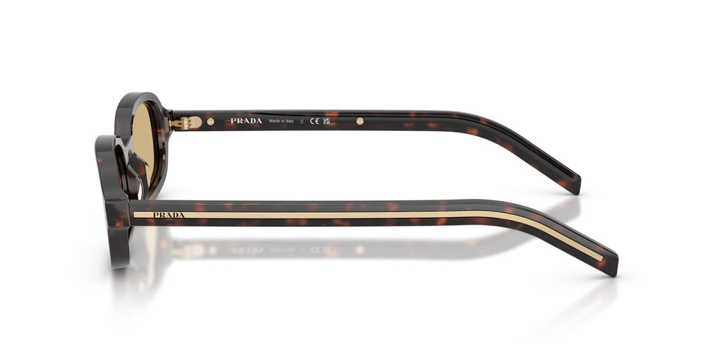 Praada D06S Sunglasses
